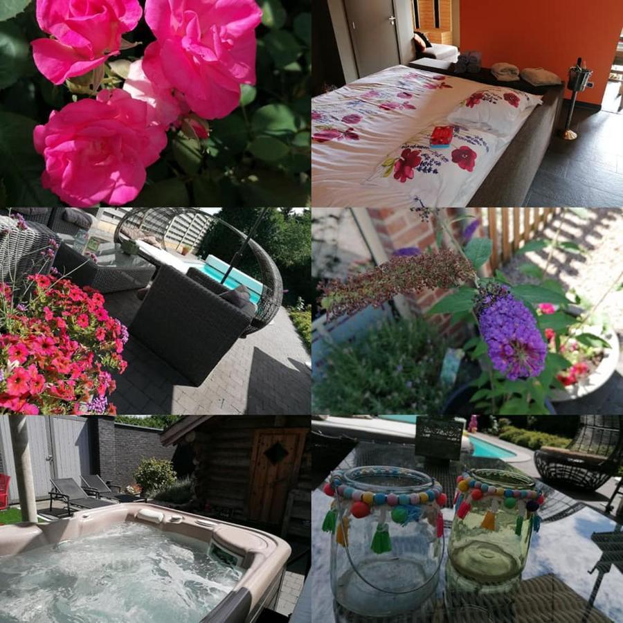 Luxe Wellness B&B Tim Torfs ***** ベリンゲン エクステリア 写真